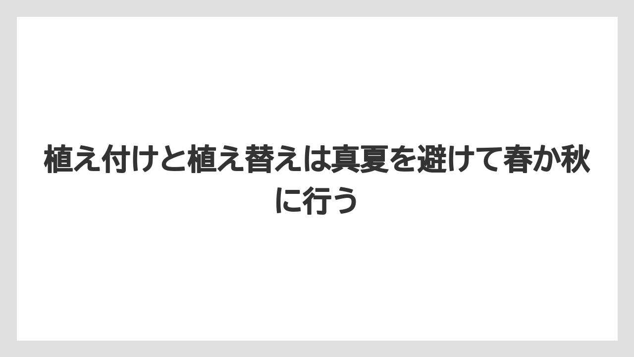 【バラ】【栽培】【肥料】植え付けと植え替えは真夏を避けて春か秋に行う