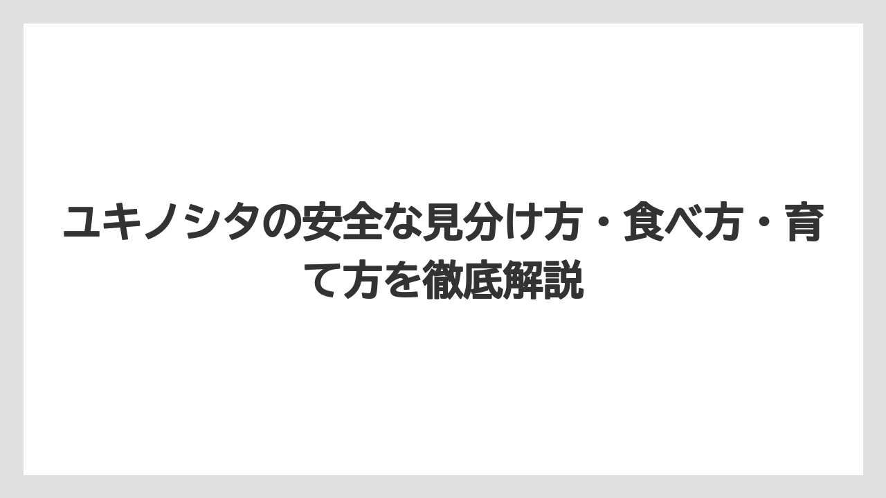 【栽培】【農園】【農業】トリカブト・ドクゼリなど、本当に危険な毒草が混在する環境に注意