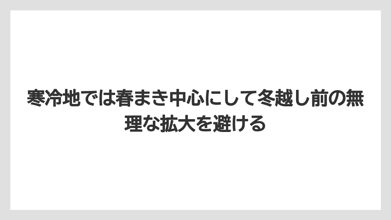 寒冷地では春まき中心にして冬越し前の無理な拡大を避ける