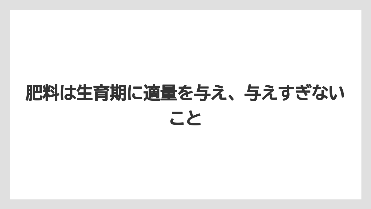【パキラ】【栽培】【農業】肥料は生育期に適量を与え、与えすぎないこと