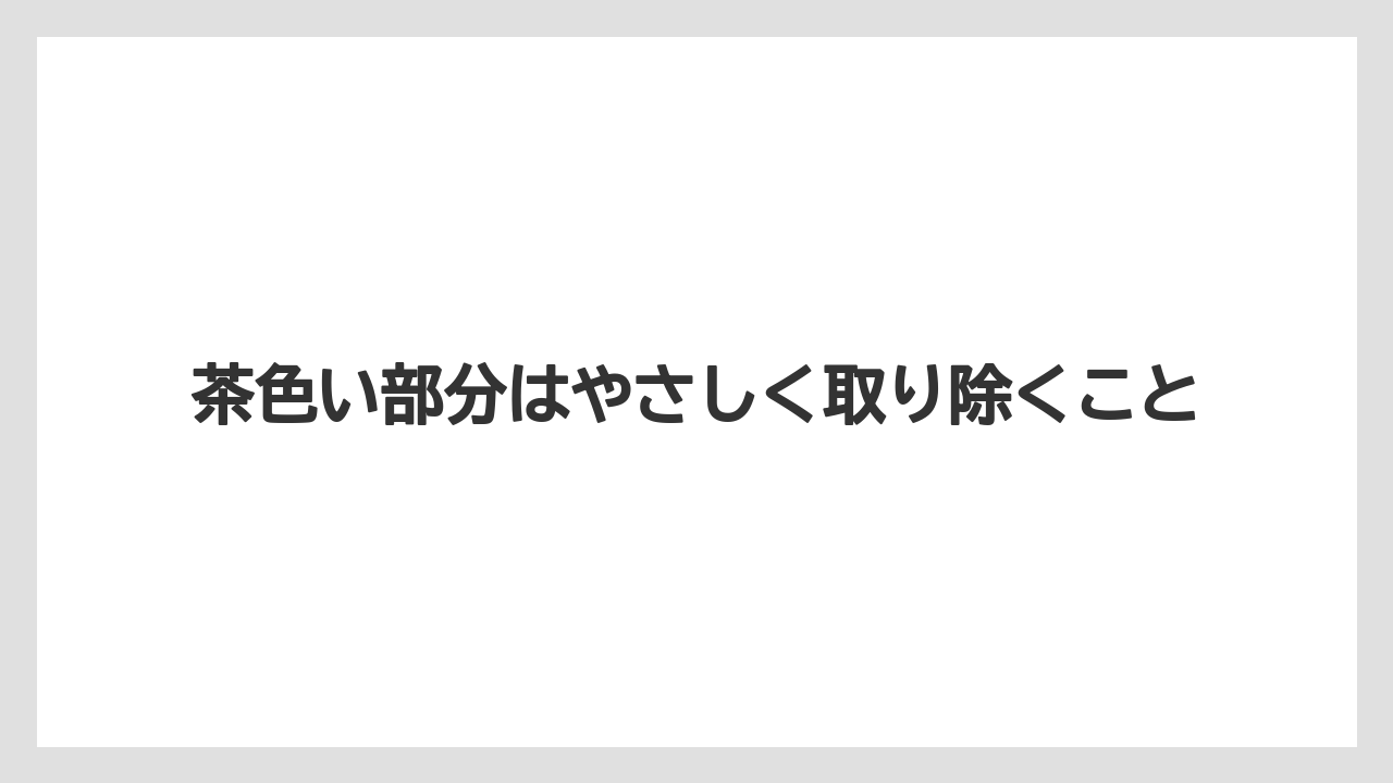 【まりも】【バラ】【栽培】茶色い部分はやさしく取り除くこと