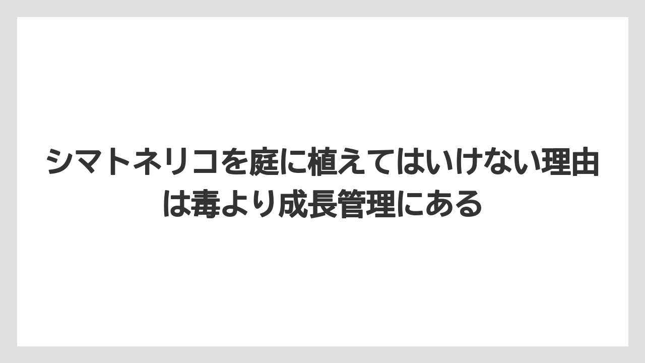 【しそ】【モンステラ】【栽培】【猫】【猫草】シマトネリコを庭に植えてはいけない理由は毒より成長管理にある