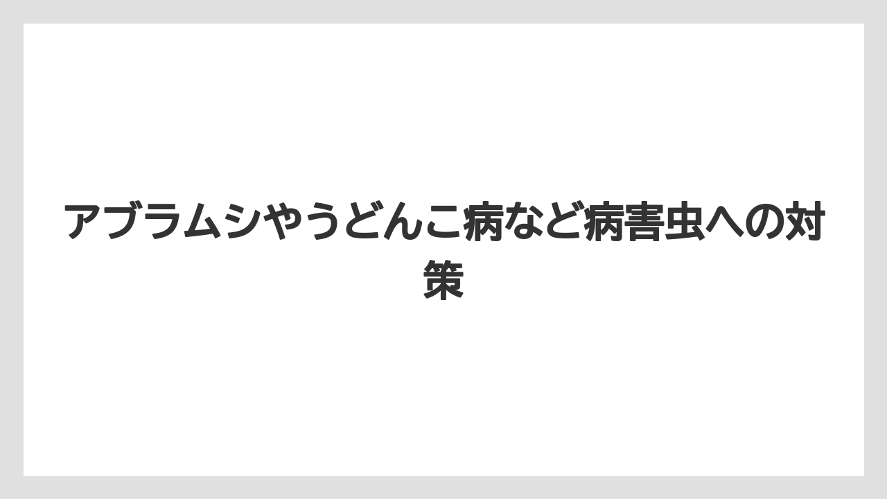 【支柱】【栽培】【農業】アブラムシやうどんこ病など病害虫への対策