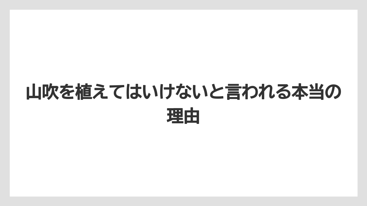 山吹を植えてはいけないと言われる本当の理由
