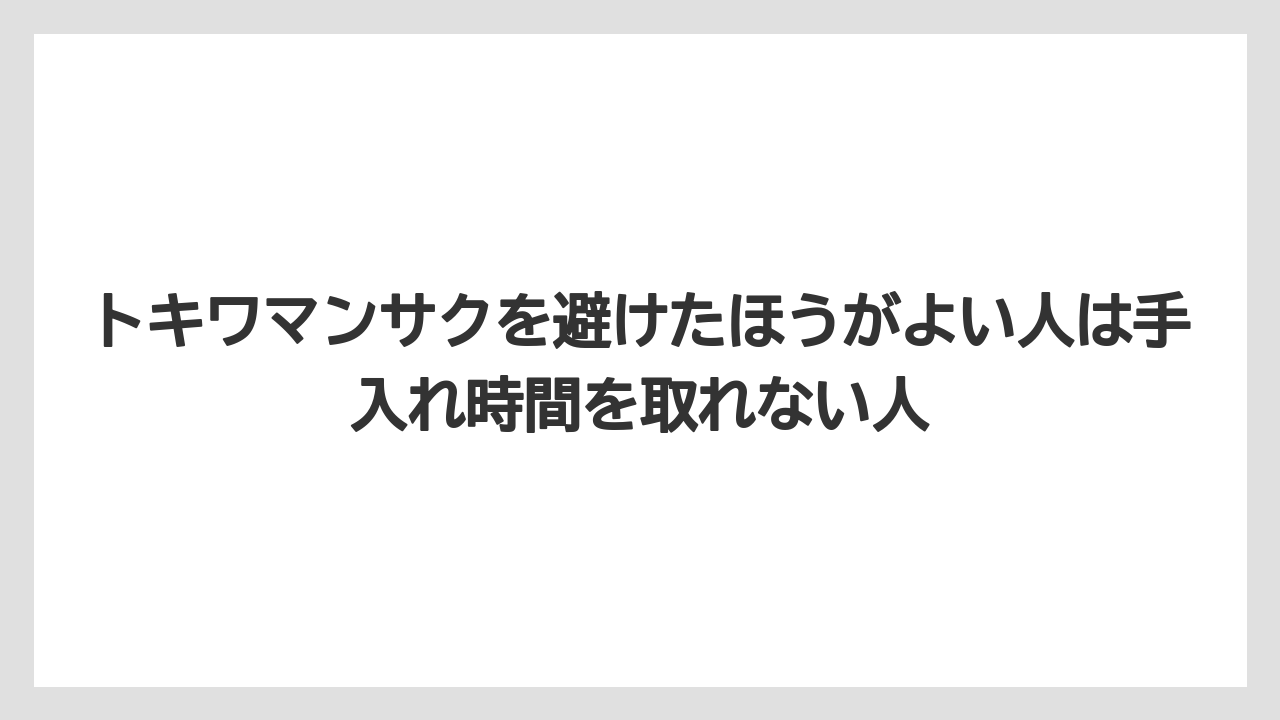 【栽培】【農園】【農業】トキワマンサクを避けたほうがよい人は手入れ時間を取れない人