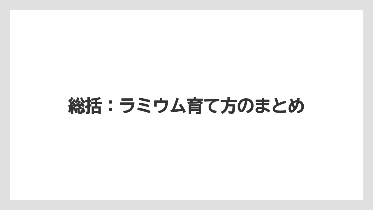 【バラ】【栽培】【肥料】総括：ラミウム育て方のまとめ