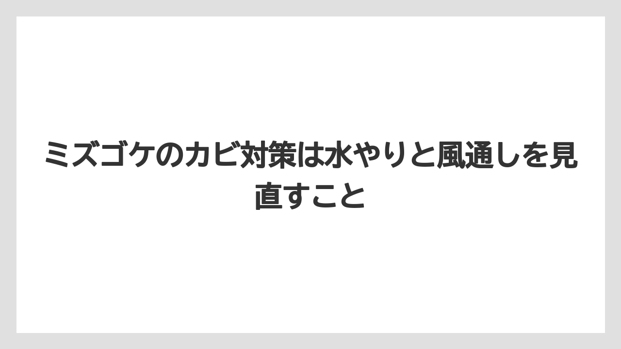 【栽培】【植え】【農業】ミズゴケのカビ対策は水やりと風通しを見直すこと