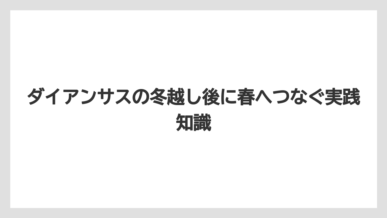 【栽培】【農園】【農業】霜と雪を避けるだけで鉢植えの冬越しは安定しやすい