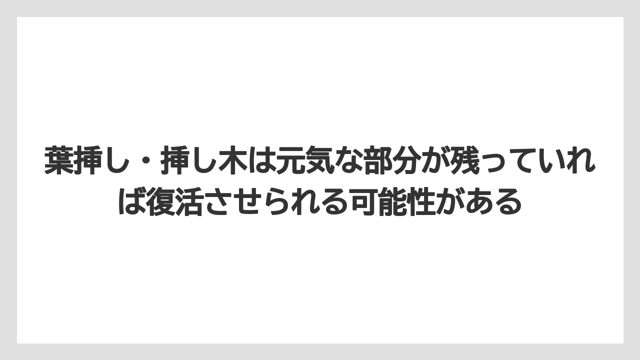 【木】【栽培】【農業】葉挿し・挿し木は元気な部分が残っていれば復活させられる可能性がある
