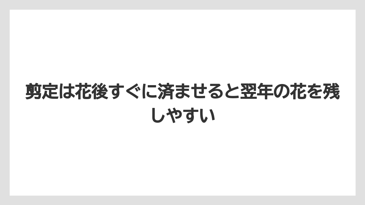 【栽培】【植え】【農業】剪定は花後すぐに済ませると翌年の花を残しやすい