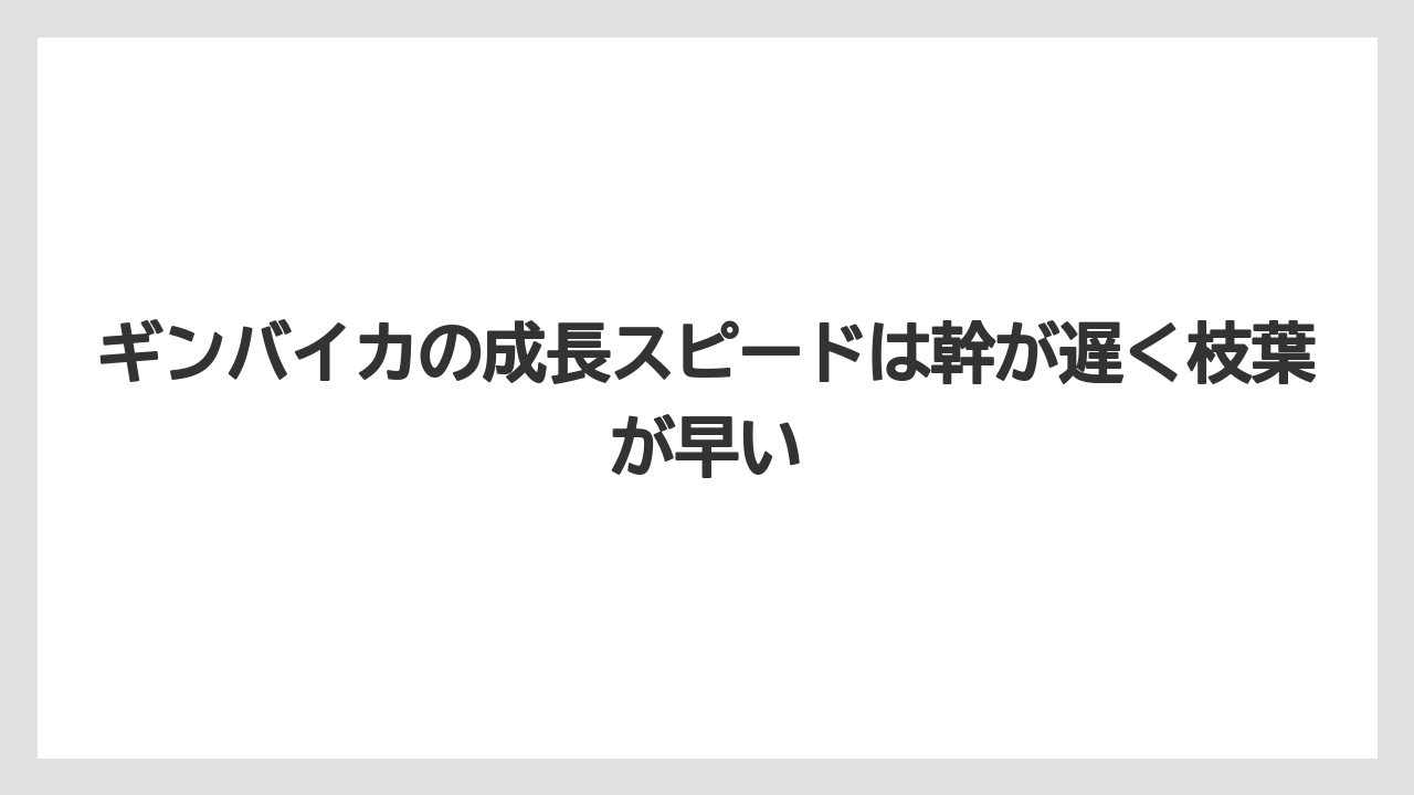 【栽培】【植え】【農業】ギンバイカの成長スピードは幹が遅く枝葉が早い