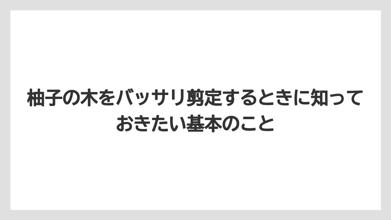 柚子の木をバッサリ剪定するときに知っておきたい基本のこと