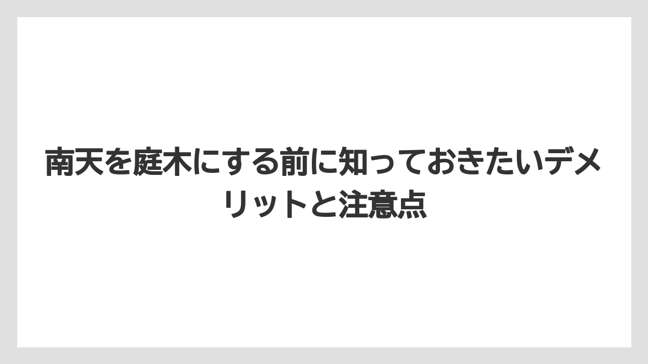 南天を庭木にする前に知っておきたいデメリットと注意点