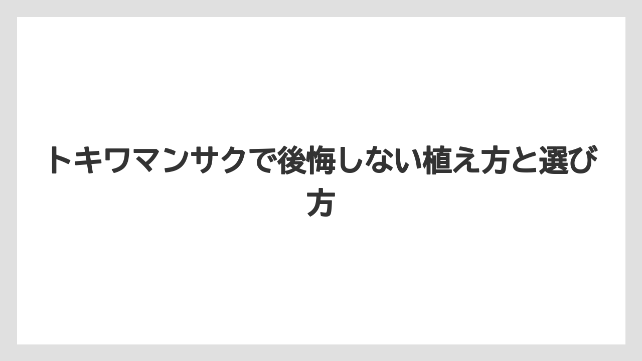 【栽培】【農園】【農業】トキワマンサクの剪定はいつがいいですか？の答えは花後すぐの5月から6月である