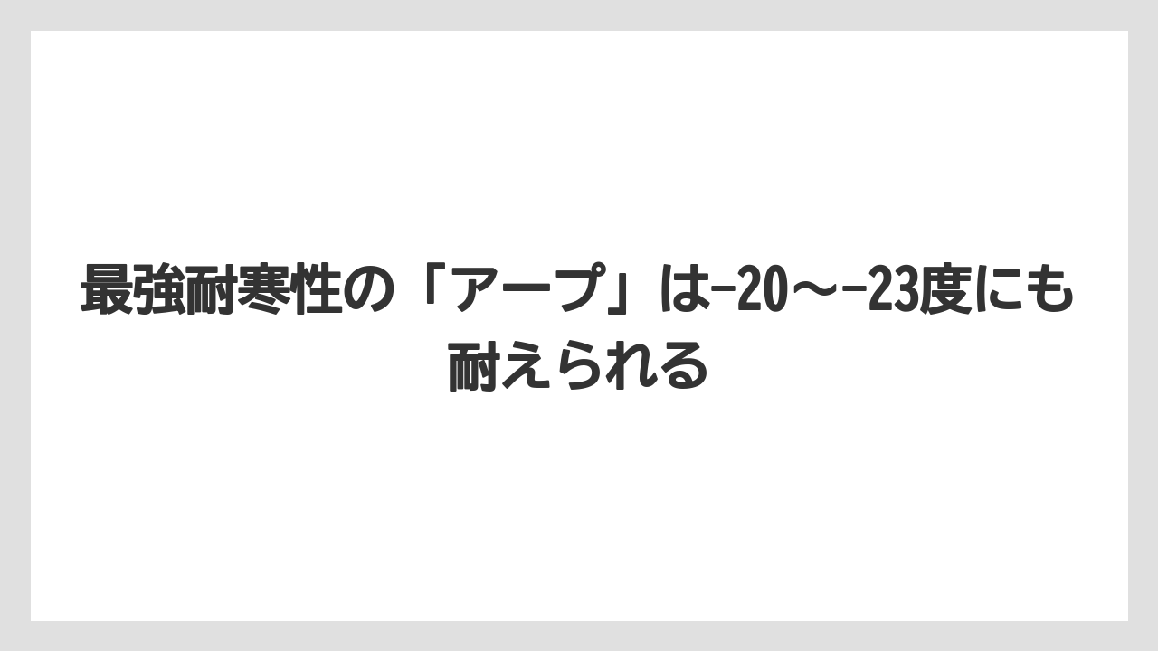 【栽培】【農園】【農業】最強耐寒性の「アープ」は-20〜-23度にも耐えられる
