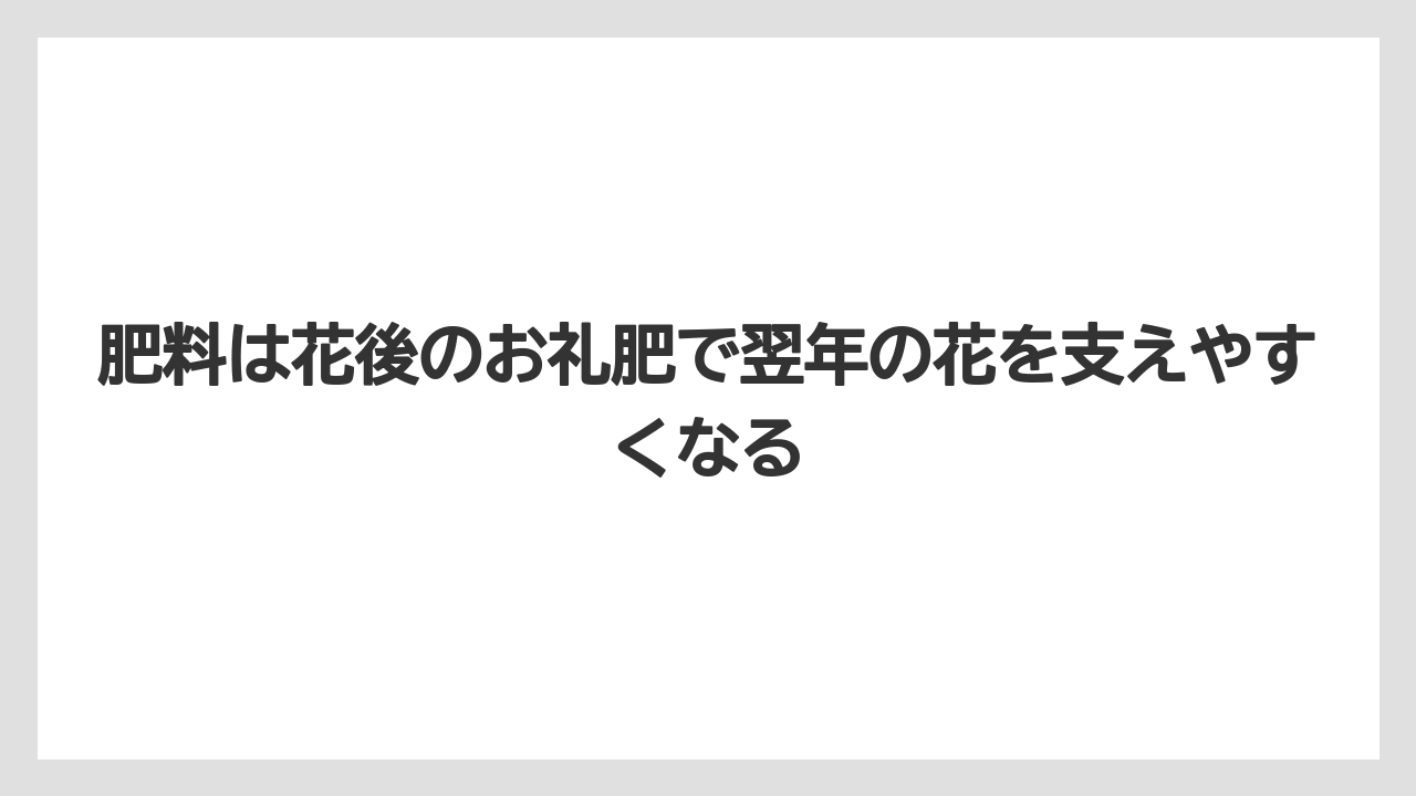 【栽培】【農園】【農業】肥料は花後のお礼肥で翌年の花を支えやすくなる