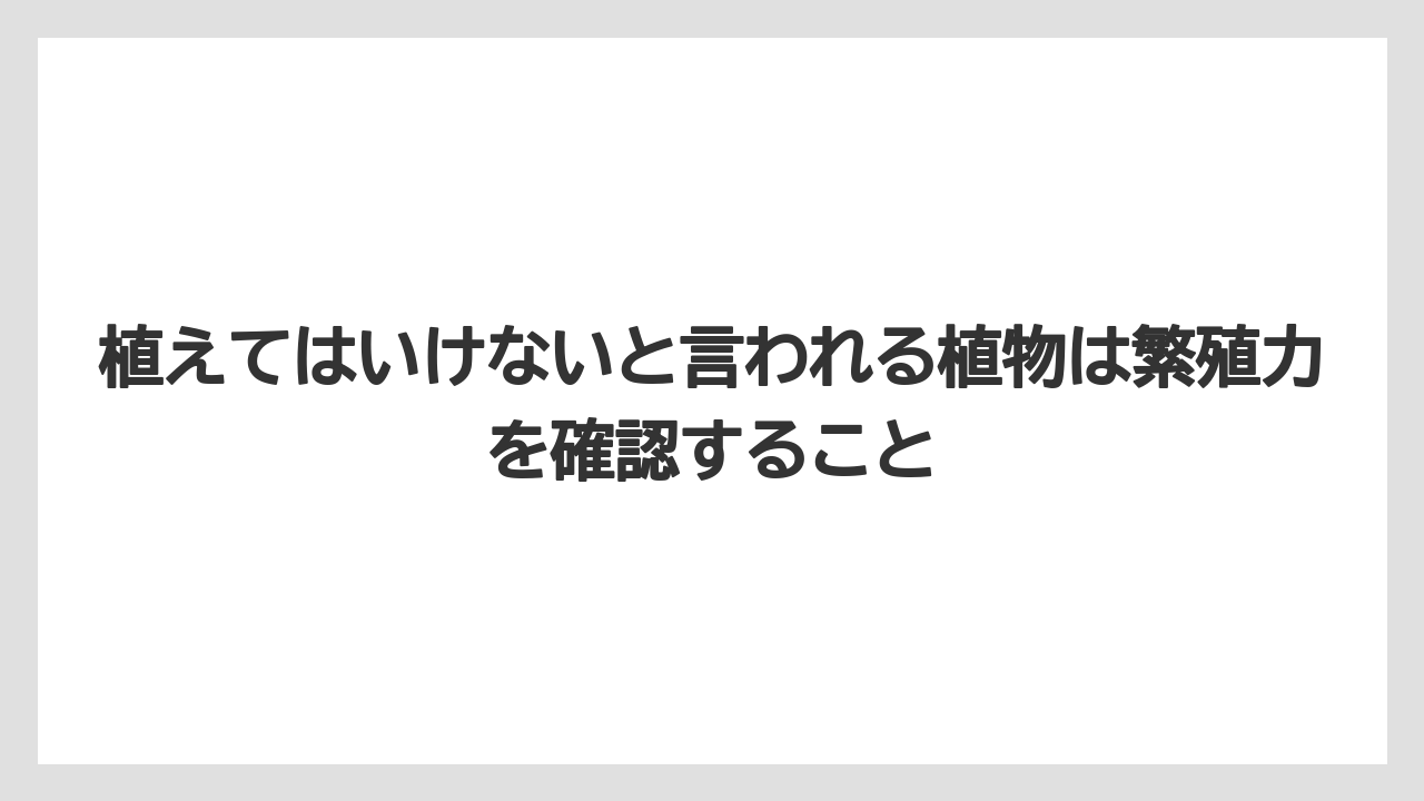 【栽培】【農園】【農業】植えてはいけないと言われる植物は繁殖力を確認すること