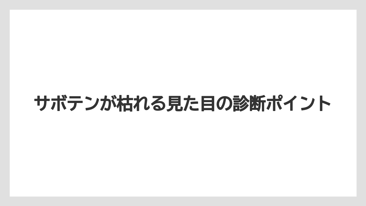 サボテンが枯れる見た目の診断ポイント