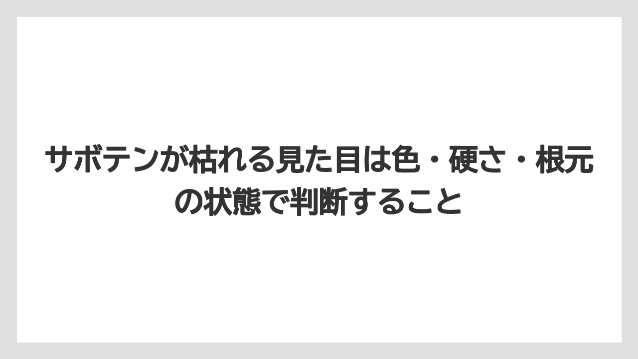 【サボテン】【危険】【枯れ】【栽培】サボテンが枯れる見た目は色・硬さ・根元の状態で判断すること