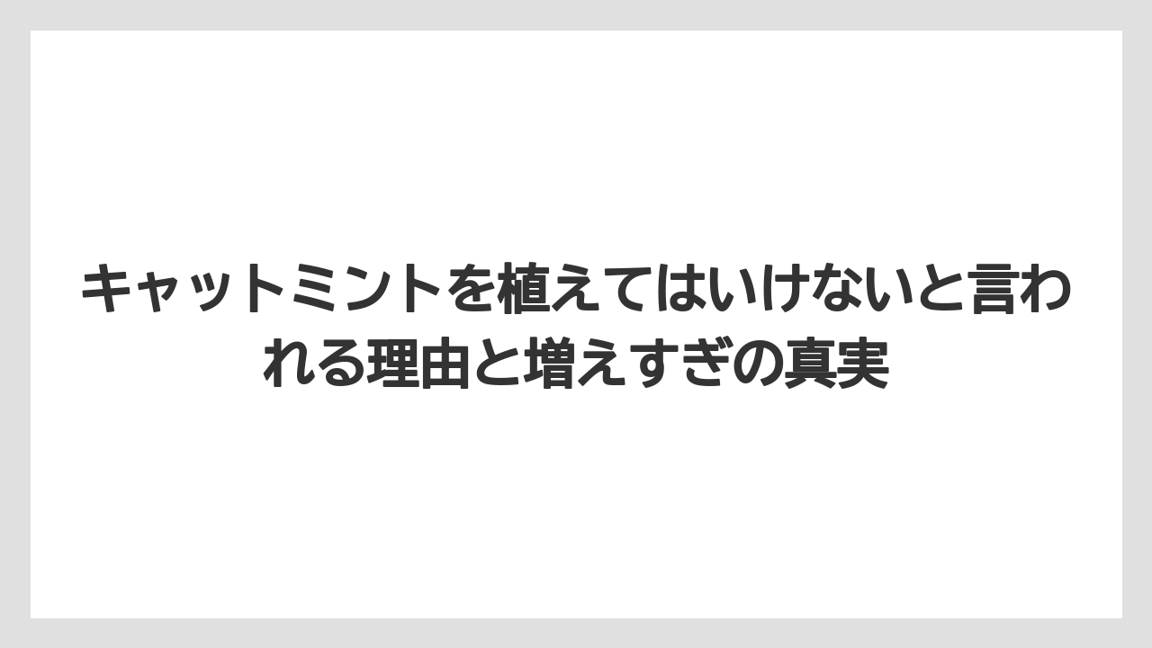キャットミントを植えてはいけないと言われる理由と増えすぎの真実