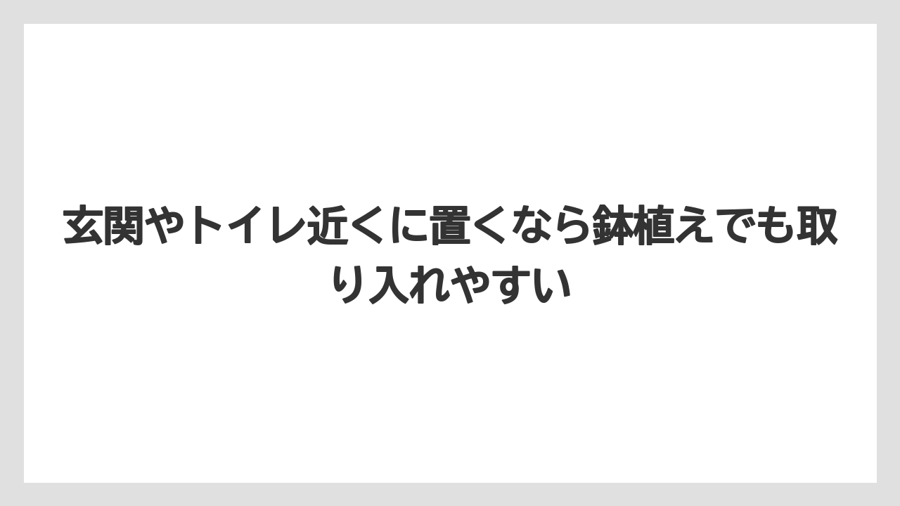 【栽培】【農園】【農業】玄関やトイレ近くに置くなら鉢植えでも取り入れやすい