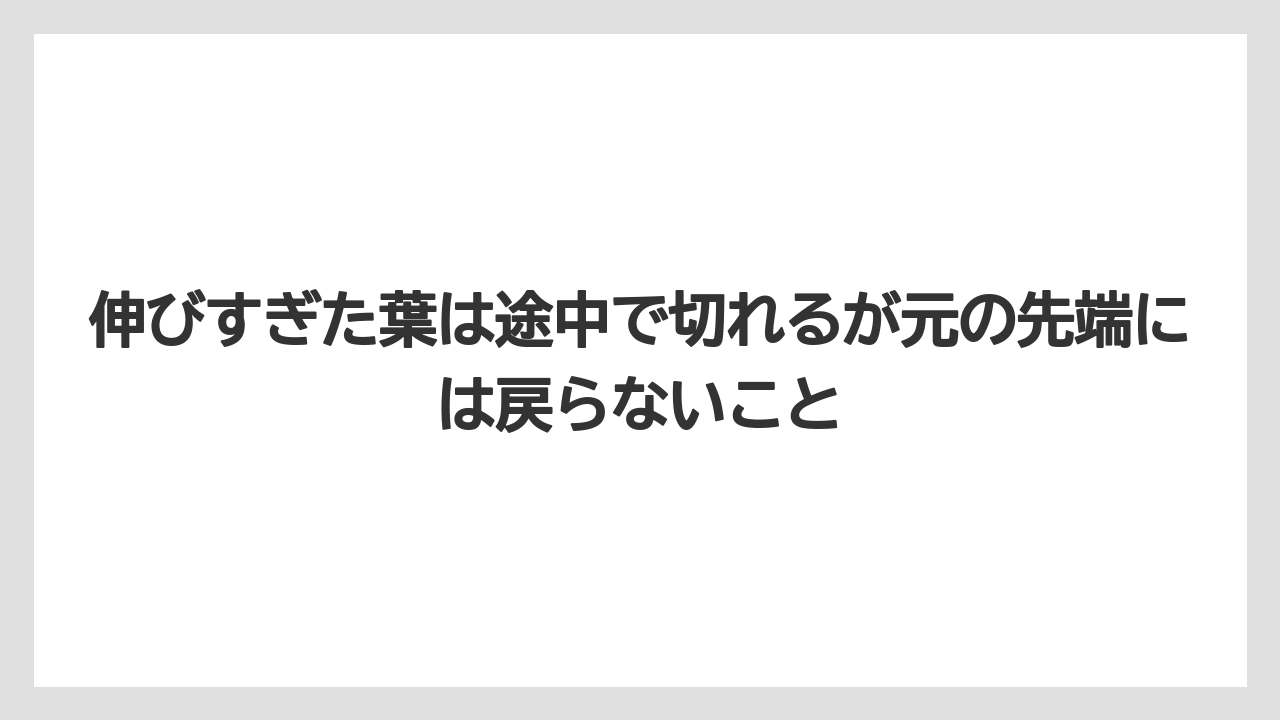 【サンスベリア】【栽培】【農業】伸びすぎた葉は途中で切れるが元の先端には戻らないこと