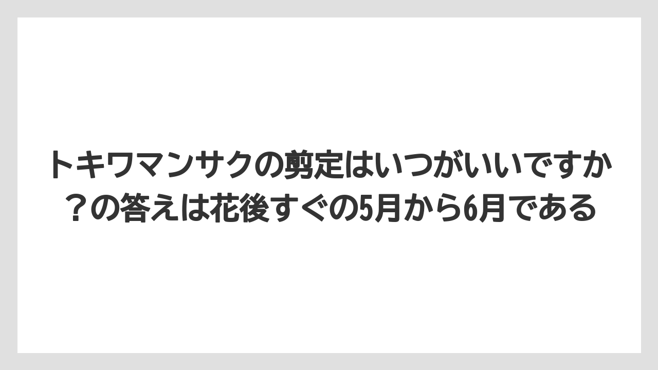 【栽培】【農園】【農業】トキワマンサクの剪定はいつがいいですか？の答えは花後すぐの5月から6月である