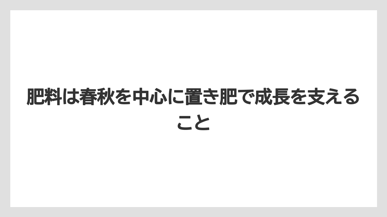 【100均】【もみじ】【ゼオライト】【バラ】【栽培】肥料は春秋を中心に置き肥で成長を支えること