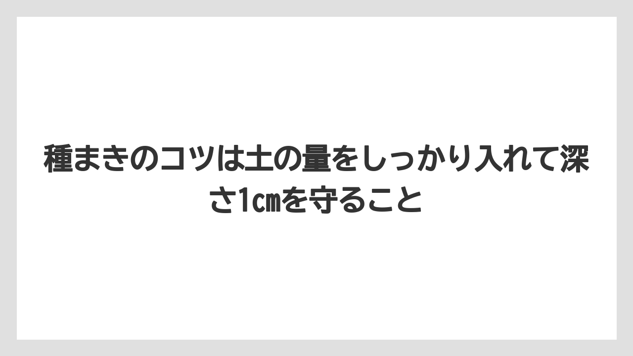 【ゴーヤ】【栽培】【農業】種まきのコツは土の量をしっかり入れて深さ1cmを守ること