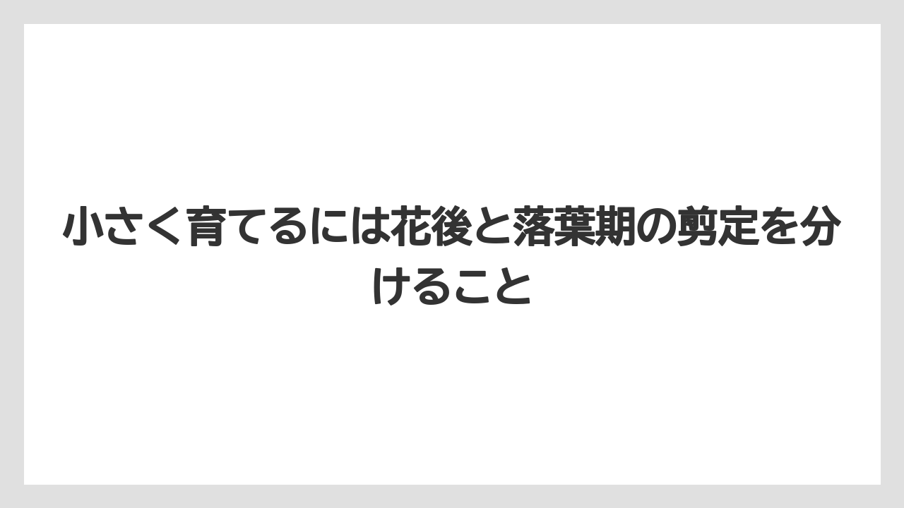 【バラ】【栽培】【農業】小さく育てるには花後と落葉期の剪定を分けること