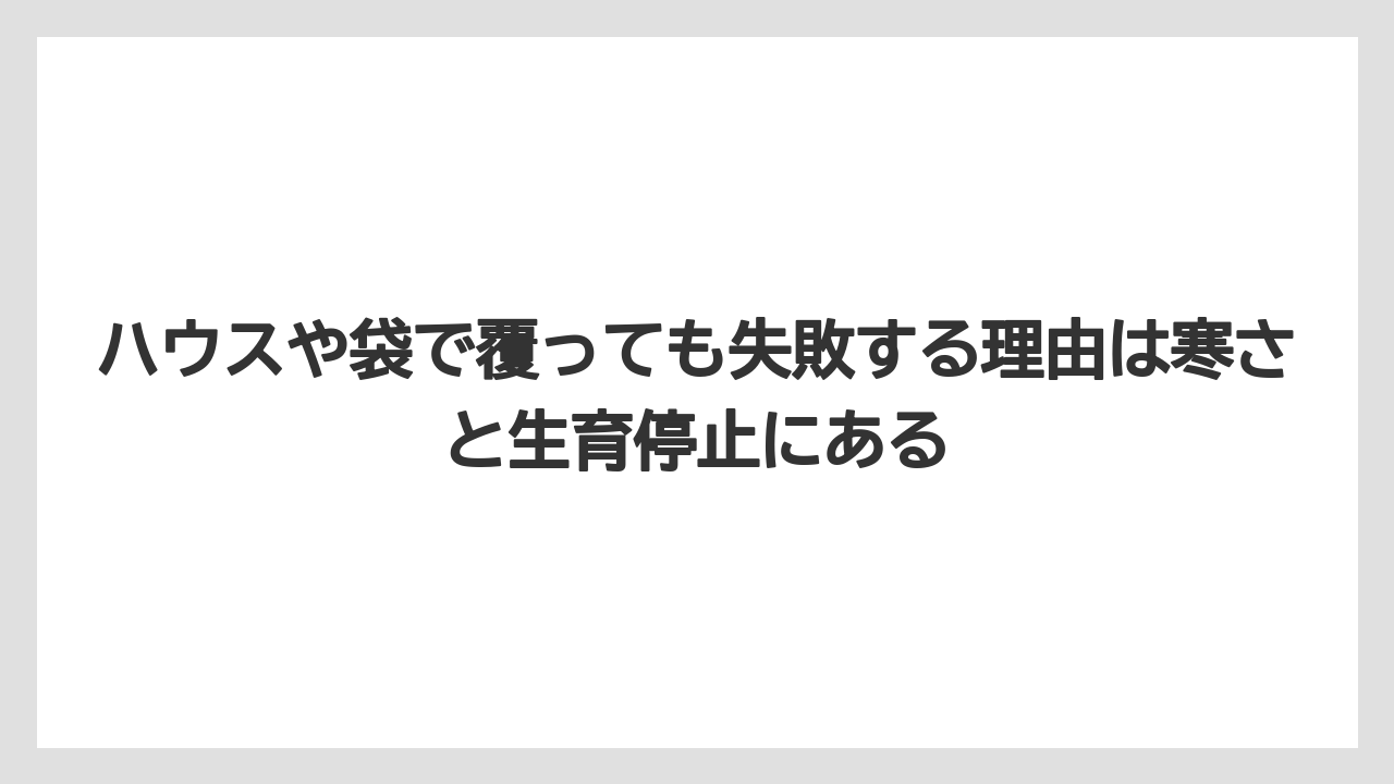 【栽培】【草】【越し】ハウスや袋で覆っても失敗する理由は寒さと生育停止にある