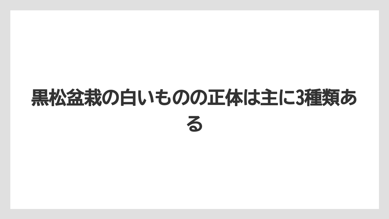 【栽培】【農園】【農業】黒松盆栽の白いものの正体は主に3種類ある