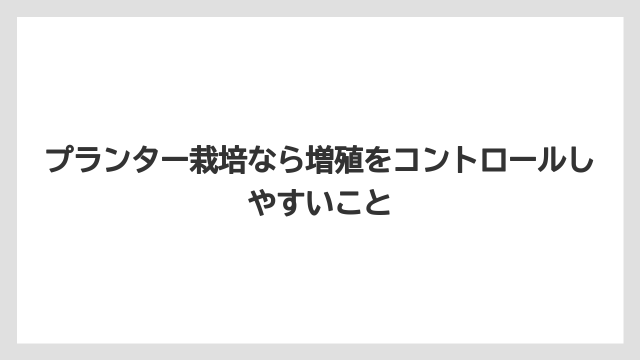 【栽培】【農園】【農業】プランター栽培なら増殖をコントロールしやすいこと