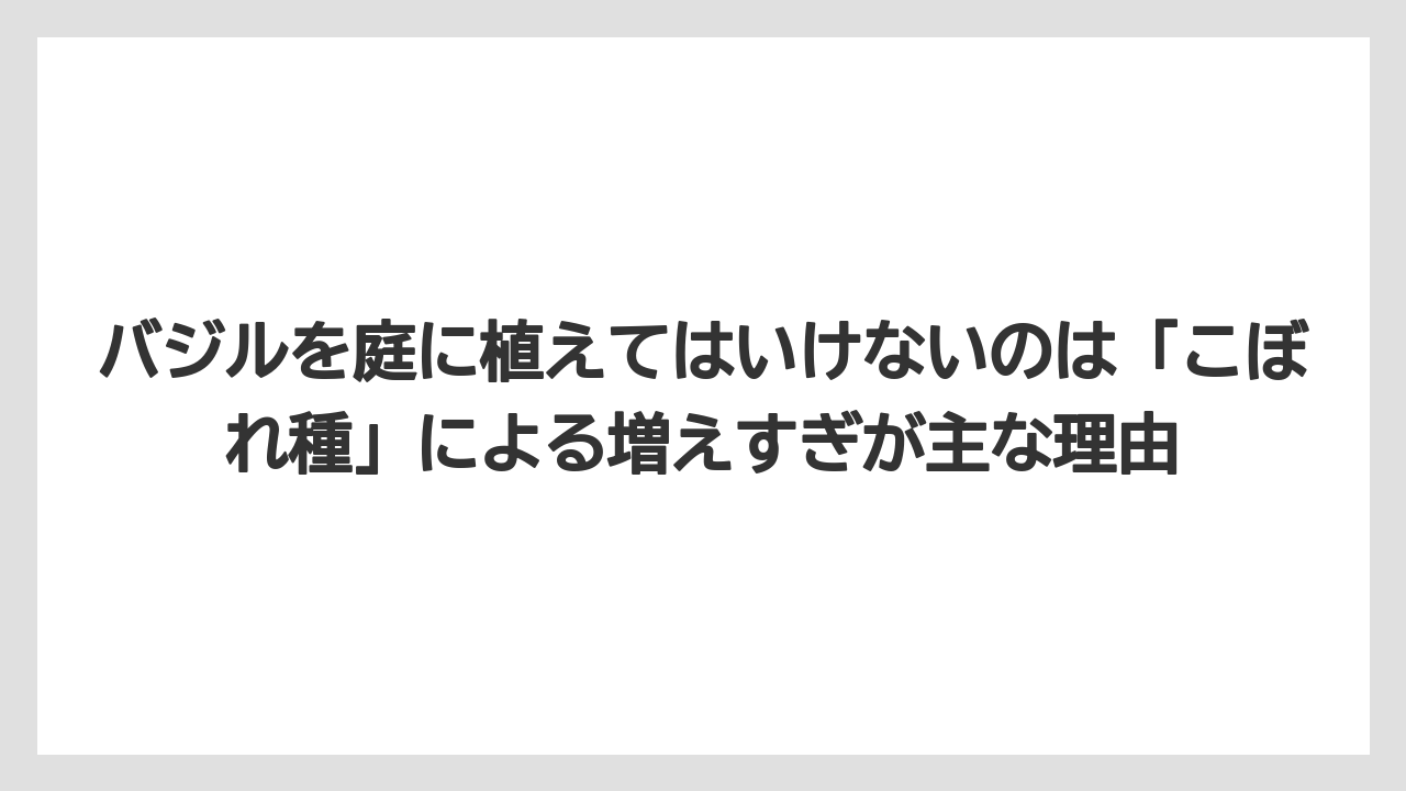 【いけない】【バジル】【後悔】【植え】【育て方】バジルを庭に植えてはいけないのは「こぼれ種」による増えすぎが主な理由