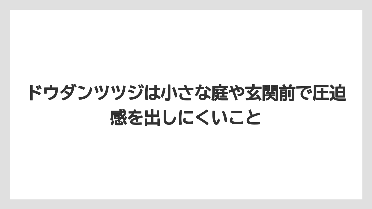 【栽培】【農園】【農業】ドウダンツツジは小さな庭や玄関前で圧迫感を出しにくいこと