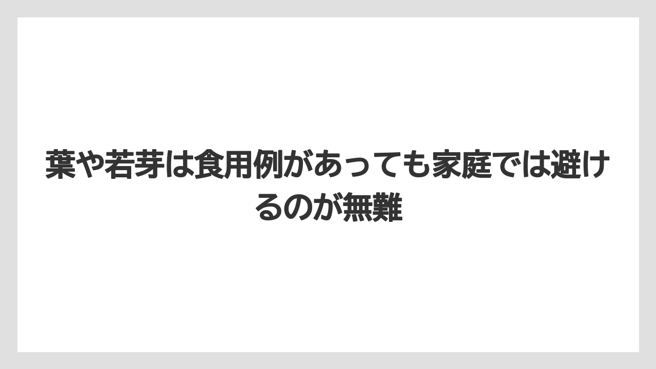 【栽培】【農園】【農業】葉や若芽は食用例があっても家庭では避けるのが無難
