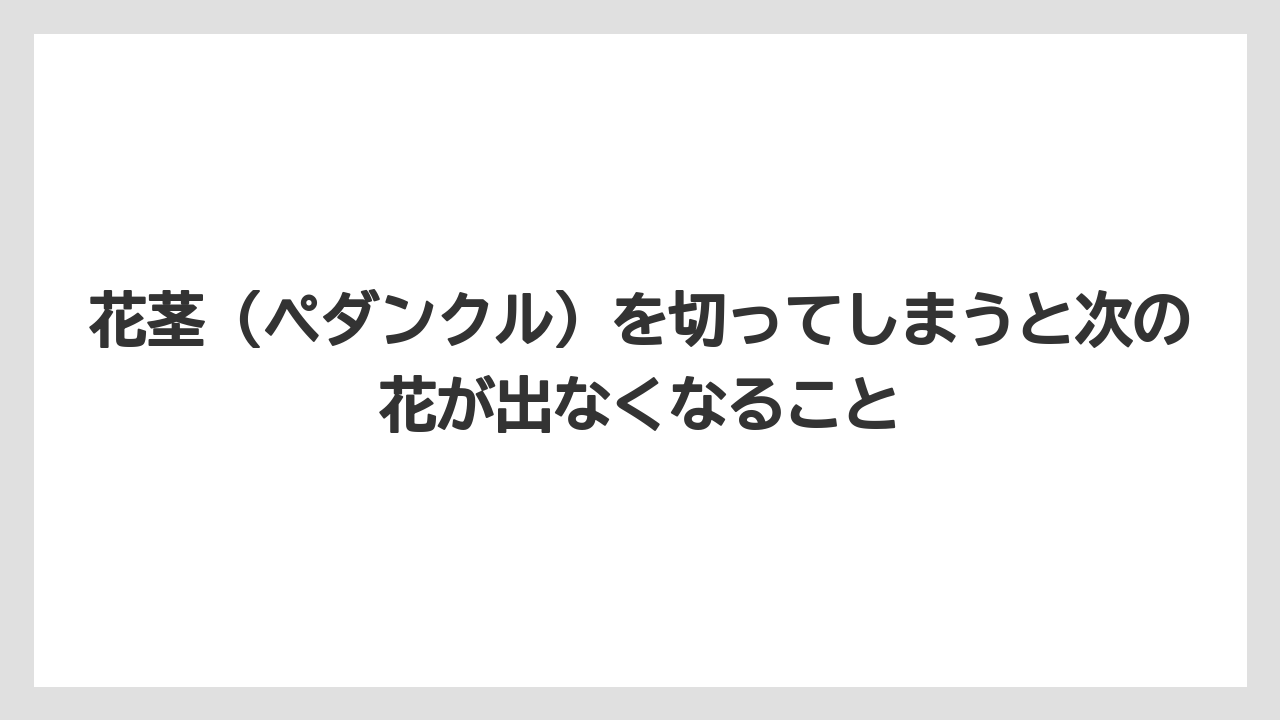 【栽培】【農園】【農業】花茎（ペダンクル）を切ってしまうと次の花が出なくなること