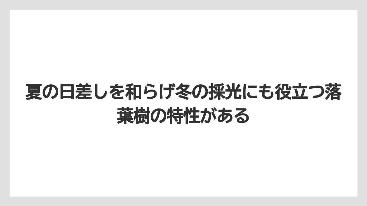 【いけない】【庭】【栽培】【植え】【葉】夏の日差しを和らげ冬の採光にも役立つ落葉樹の特性がある