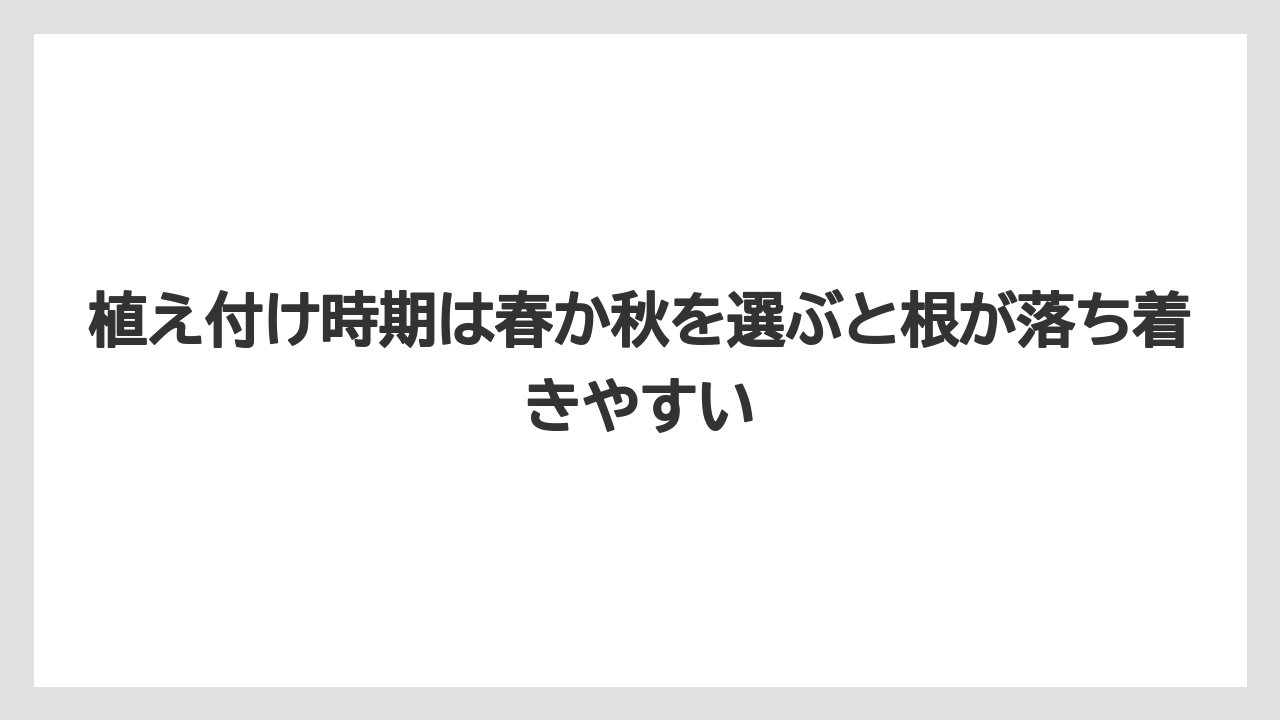 【栽培】【農園】【農業】植え付け時期は春か秋を選ぶと根が落ち着きやすい