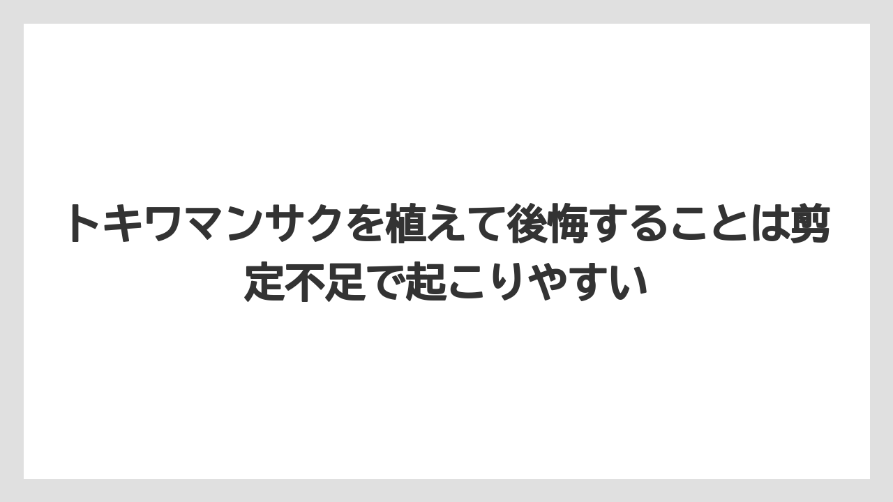 【栽培】【農園】【農業】トキワマンサクを植えて後悔することは剪定不足で起こりやすい