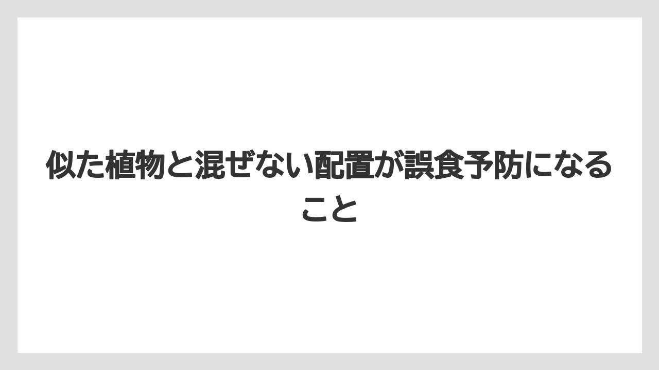 【いけない】【ハナニラ】【庭】【栽培】【植え】似た植物と混ぜない配置が誤食予防になること