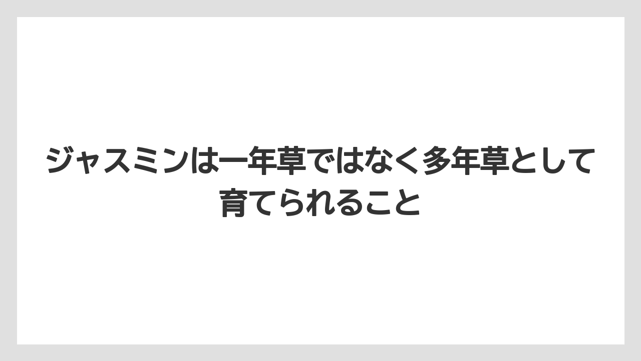 【枯れ】【栽培】【越し】ジャスミンは一年草ではなく多年草として育てられること