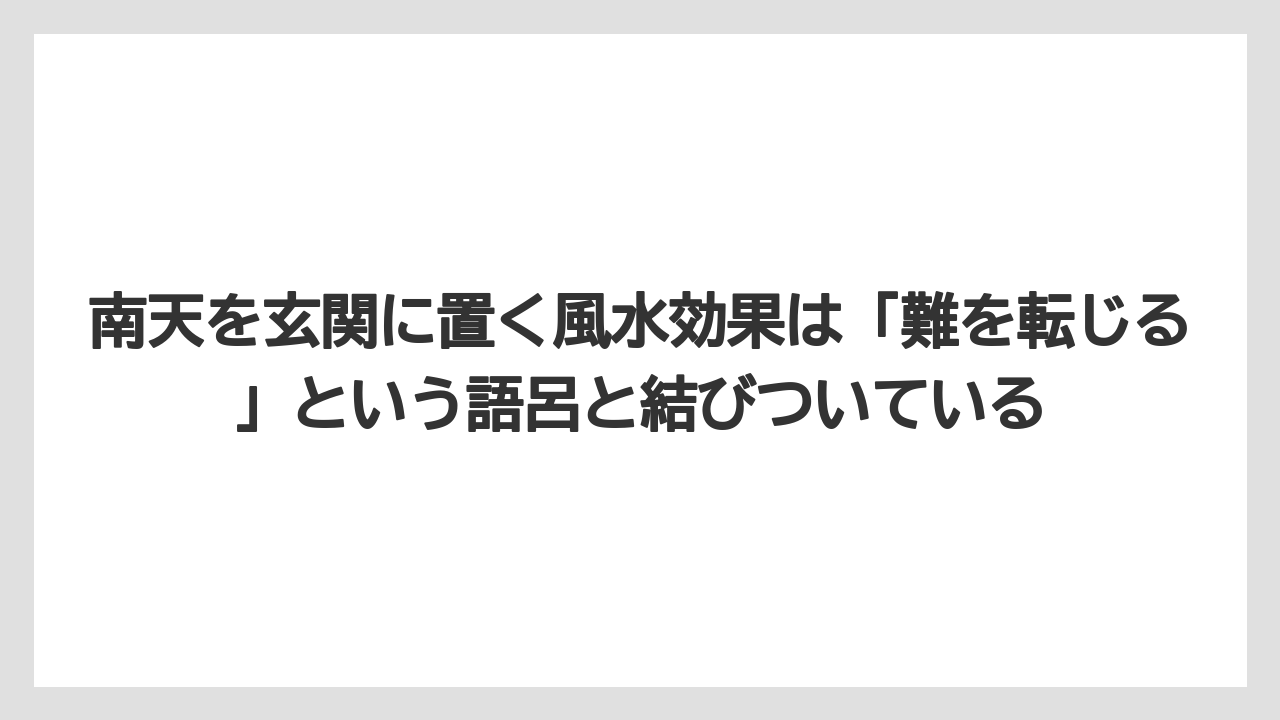 【栽培】【農園】【農業】南天を玄関に置く風水効果は「難を転じる」という語呂と結びついている