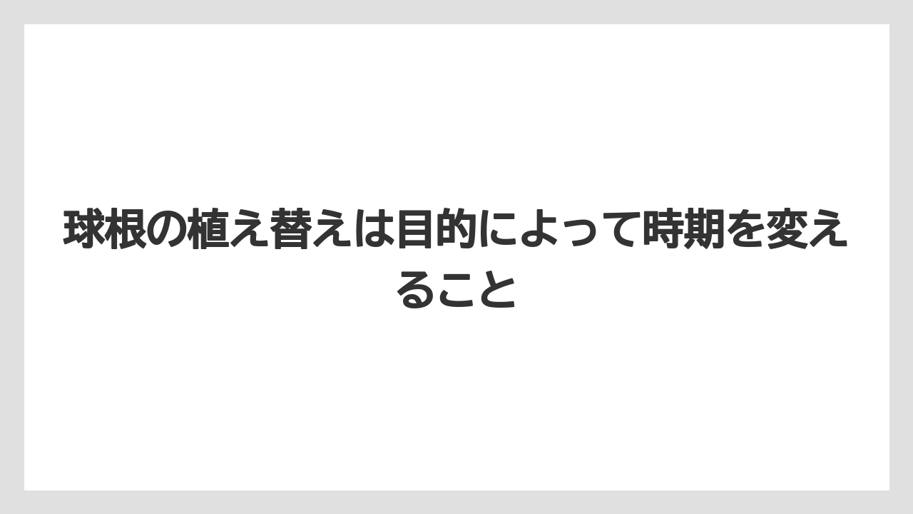 【いけない】【ハナニラ】【庭】【栽培】【植え】球根の植え替えは目的によって時期を変えること