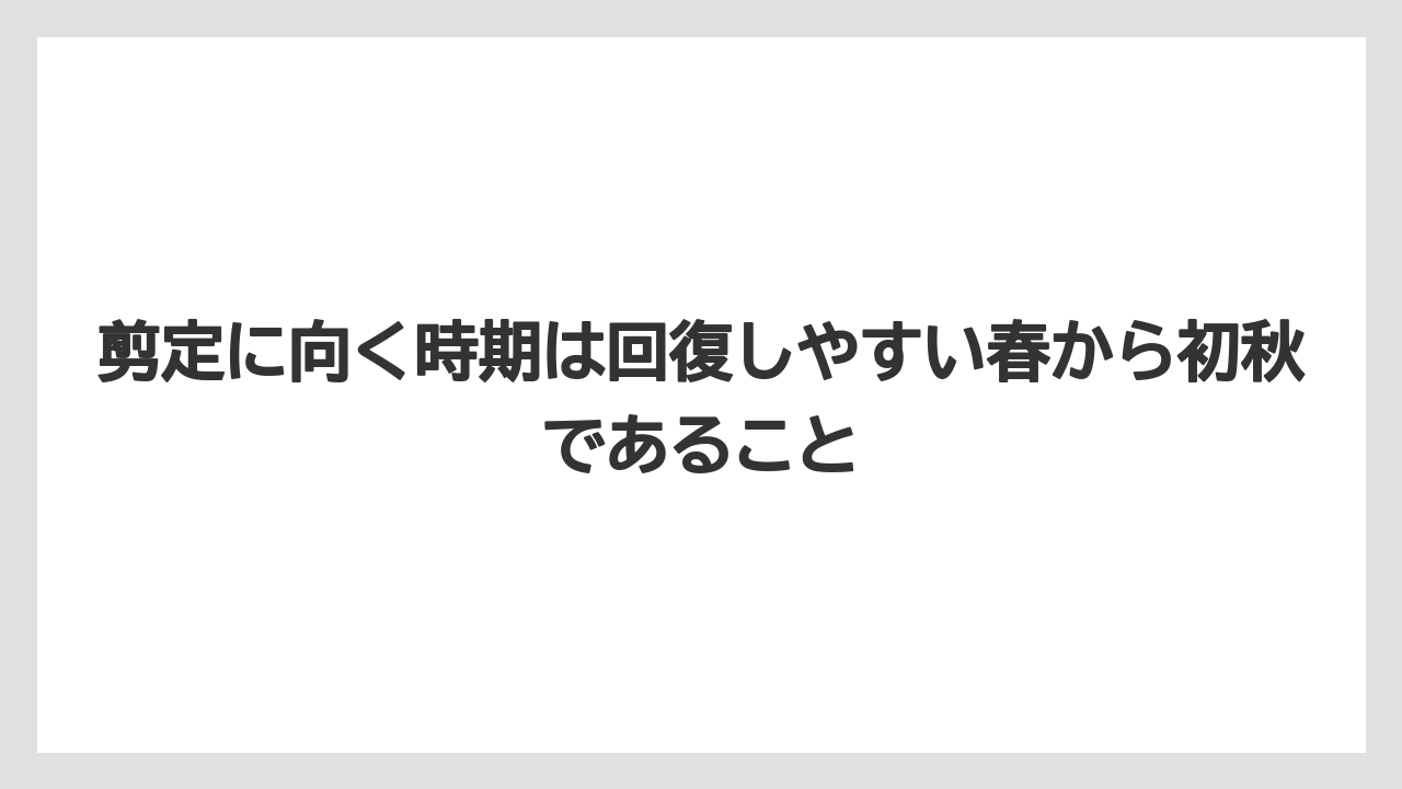 剪定に向く時期は回復しやすい春から初秋であること