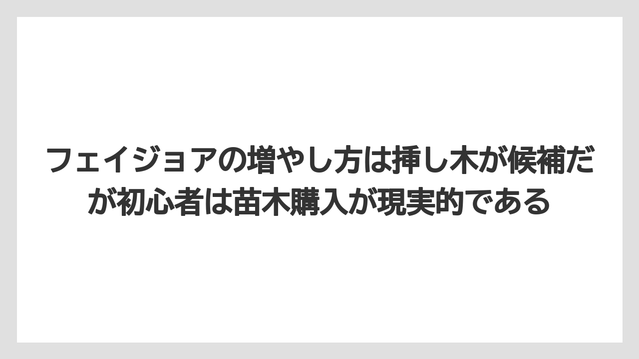 【栽培】【農園】【農業】フェイジョアの増やし方は挿し木が候補だが初心者は苗木購入が現実的である
