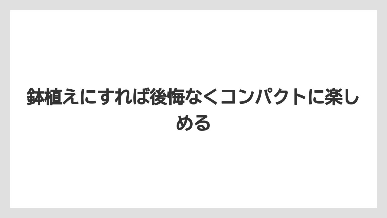 【ニンジン】【庭】【後悔】【栽培】鉢植えにすれば後悔なくコンパクトに楽しめる