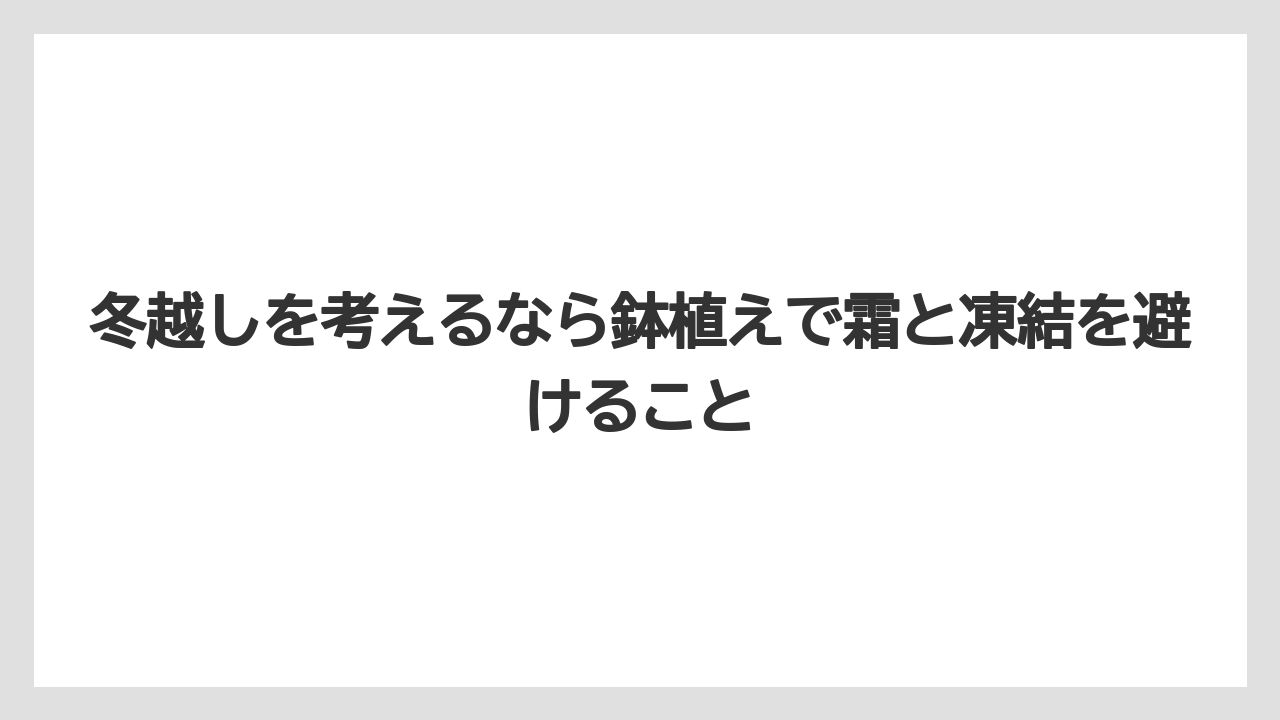 【栽培】【農園】【農業】冬越しを考えるなら鉢植えで霜と凍結を避けること