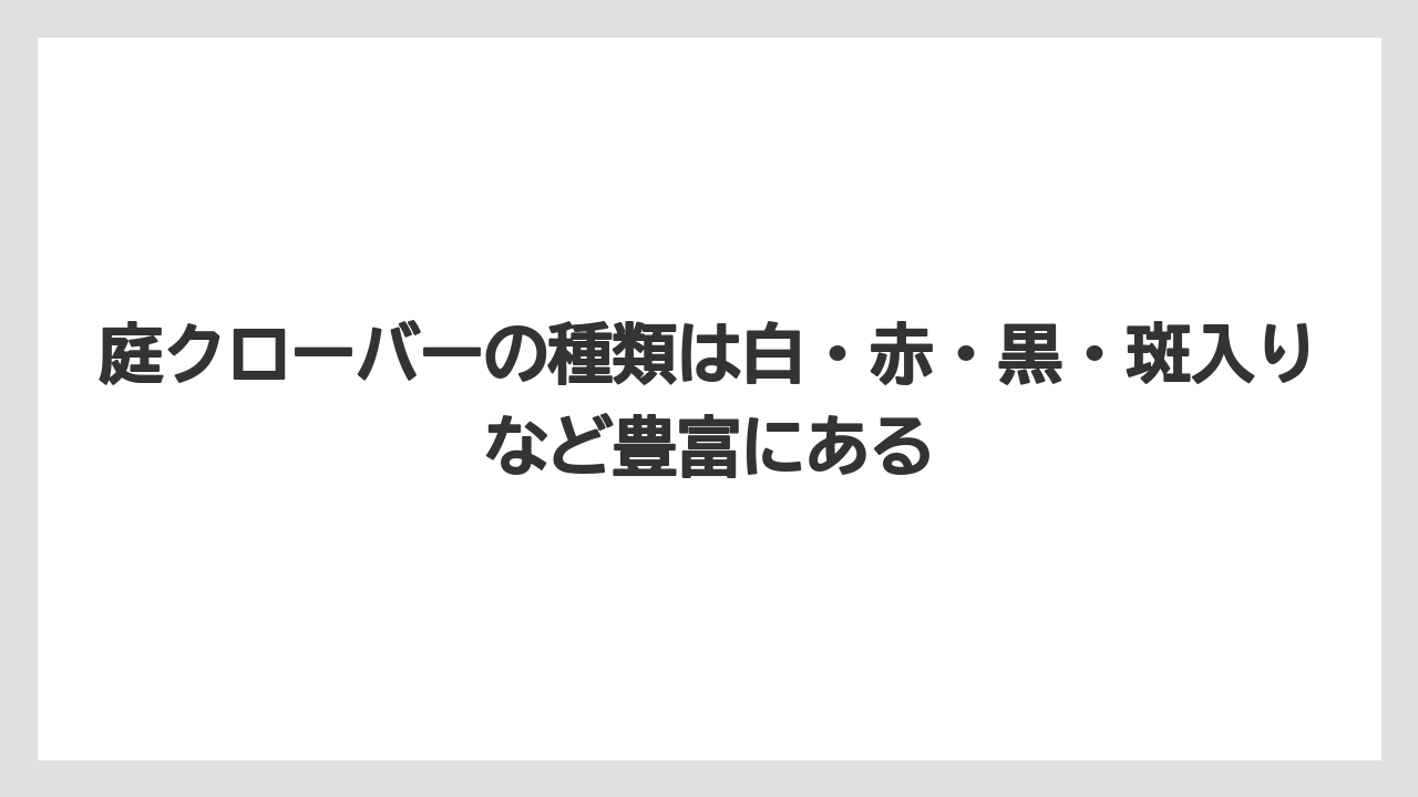 【栽培】【農園】【農業】庭クローバーの種類は白・赤・黒・斑入りなど豊富にある