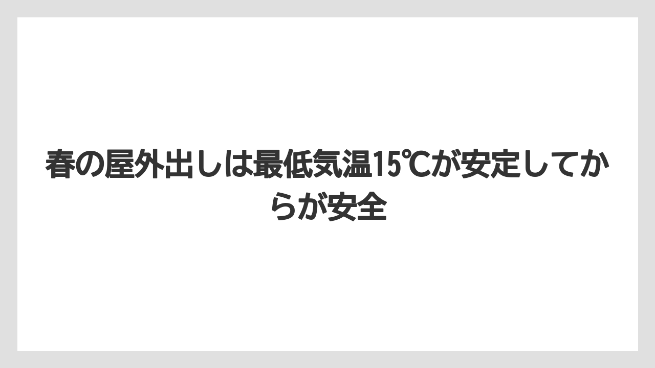 【剪定】【栽培】【越し】春の屋外出しは最低気温15℃が安定してからが安全